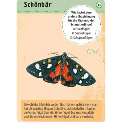 Moses Kartenset - 50 heimische Schmetterlinge "Expedition Natur"